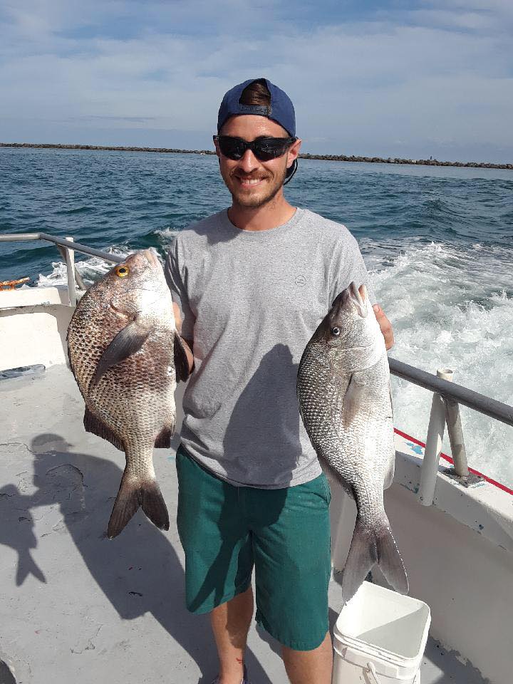 Porgies, margates and more are being